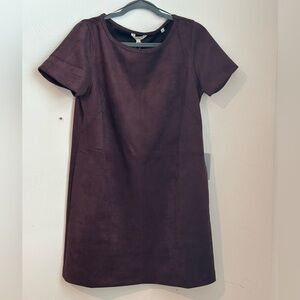 Max Studio Suede Mini Dress